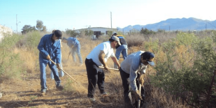 Gloria al Padre GAP Ministries Field Clearing